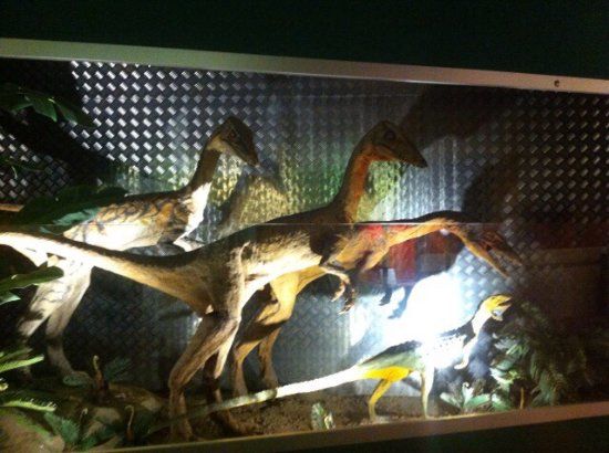 Museo delle Dolomiti DoloMythos